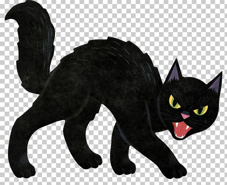 Black Cat Halloween Kitten PNG, Clipart, Carnivoran, Cartoon Cat, Cat, Cat  Ear, Cat Like Mammal Free