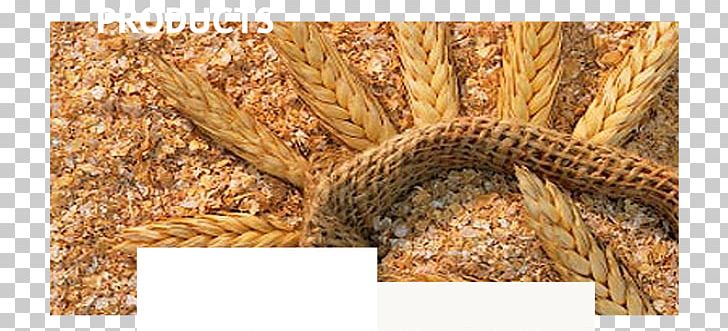 Bran Flour Oat Gluten Common Wheat PNG, Clipart, Bran, Bread, Cereal, Commodity, Common Wheat Free PNG Download