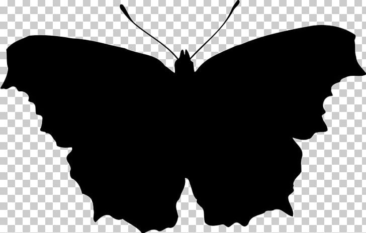 Butterfly Silhouette PNG, Clipart, Black, Brush Footed Butterfly, Butterfly, Butterfly Clipart, Butterfly Silhouette Free PNG Download