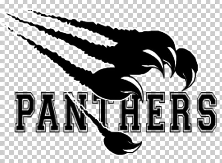 Carolina Panthers Thonon Black Panthers American Football Ligue Élite De Football Américain PNG, Clipart, American Football, Black, Black And White, Black Panther, Brand Free PNG Download