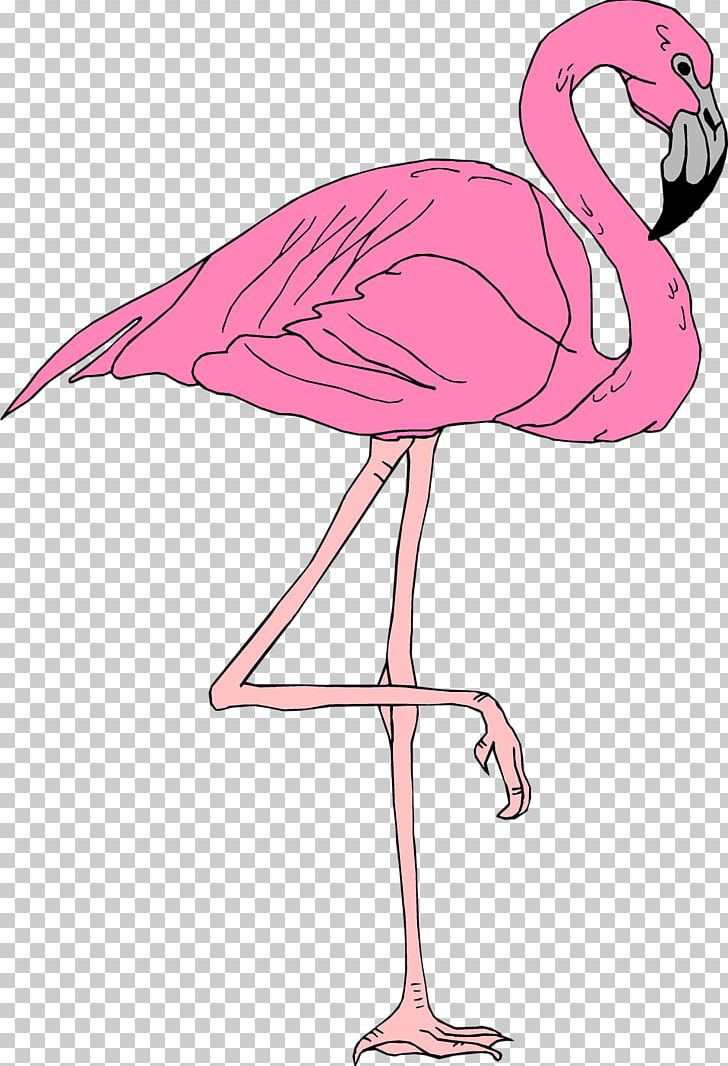 Flamingo PNG, Clipart, Animals, Beak, Bird, Cartoon, Ciconiiformes Free PNG Download