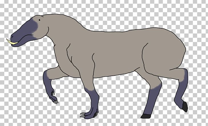 Mule Stallion Foal Mustang Mare PNG, Clipart, Animal, Colt, Donkey, Drake, Fauna Free PNG Download