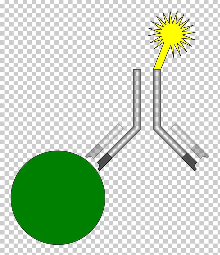 Radioimmunoassay ELISA Analyte PNG, Clipart, Analyte, Analytical Chemistry, Angle, Antibody, Antigen Free PNG Download