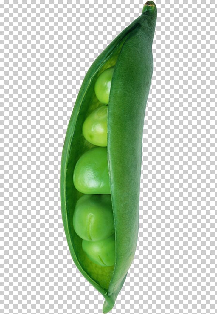 Snow Pea Green Broad Bean PNG, Clipart, Background Green, Bean, Broad Bean, Commodity, Euclidean Vector Free PNG Download