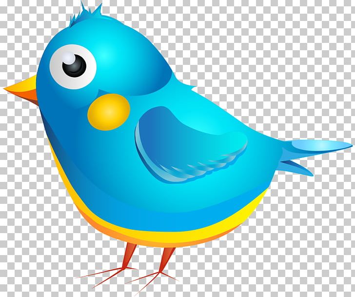 Cartoon Bird PNG, Clipart, Beak, Bird, Bird Nest, Blue Bird, Bluebird Free PNG Download