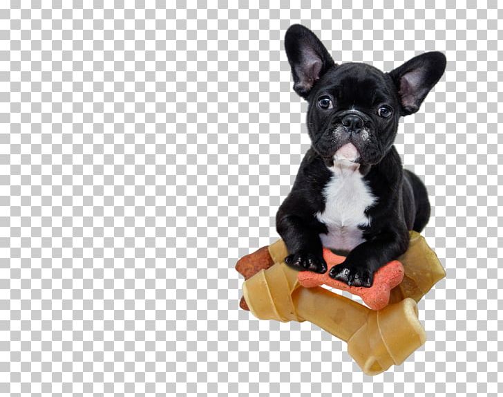 French Bulldog Shar Pei Bichon Frise Puppy PNG, Clipart, Animals, Bichon Frise, Breed, Bulldog, Calendar Free PNG Download