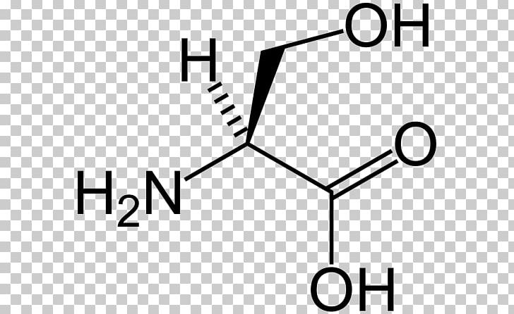 Serine Valine Proteinogenic Amino Acid Tyrosine PNG, Clipart, Alanine, Amino Acid, Angle, Area, Aspartic Acid Free PNG Download