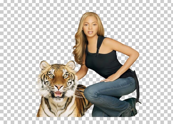 Beyoncé Tiger Cat Human Behavior Fur PNG, Clipart, Aggression, Art, Behavior, Beyonce, Big Cat Free PNG Download