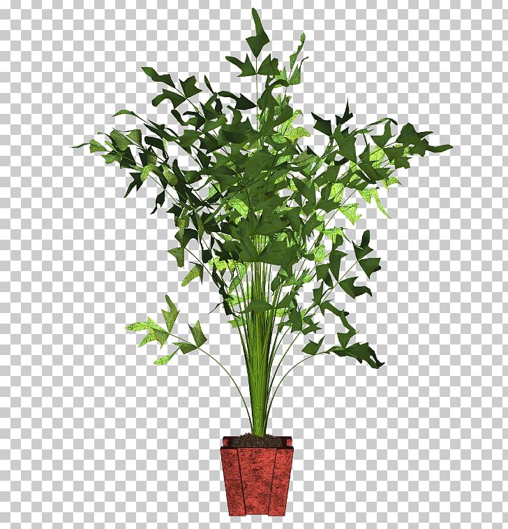 Guiana Chestnut Houseplant Flowerpot Tree PNG, Clipart, Bud, Curry Plant, Drawing, Evergreen, Flower Free PNG Download