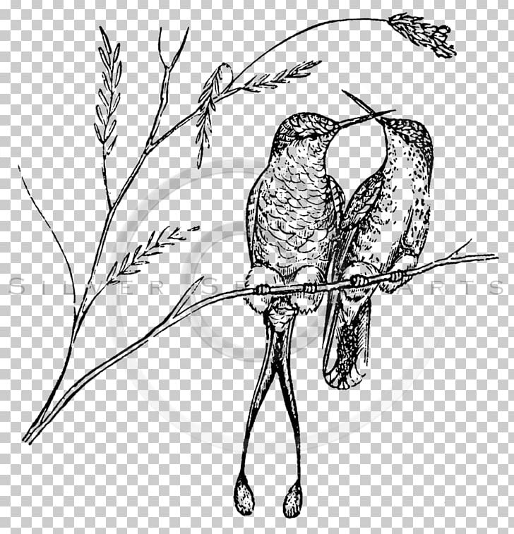 Ruby-throated Hummingbird Paper Drawing PNG, Clipart, Animals, Archilochus, Art, Beak, Bird Free PNG Download