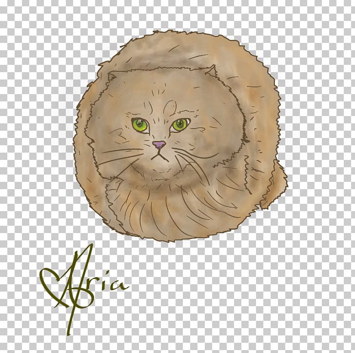 Wildcat Whiskers Tabby Cat Domestic Short-haired Cat PNG, Clipart, Animal, Animals, Carnivora, Carnivoran, Cat Free PNG Download