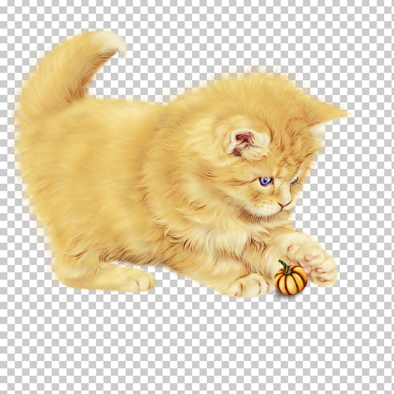 Cat Small To Medium-sized Cats Persian Yellow Whiskers PNG, Clipart, Cat, Kitten, Paint, Paw, Persian Free PNG Download