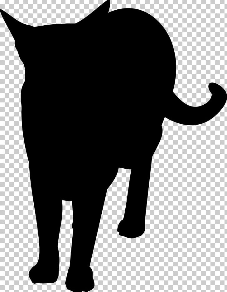 Cat African Elephant Whiskers Mammal PNG, Clipart, Animal, Animals, Asian Elephant, Black, Black And White Free PNG Download