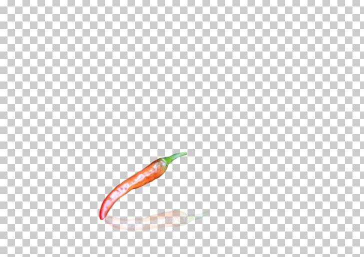 Chili Pepper Cayenne Pepper Close-up PNG, Clipart, Bell Peppers And Chili Peppers, Capsicum Annuum, Cayenne Pepper, Chili Pepper, Closeup Free PNG Download