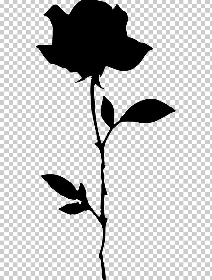 Drawing Rose PNG, Clipart, Artwork, Black And White, Black Rose, Branch, Desktop Wallpaper Free PNG Download