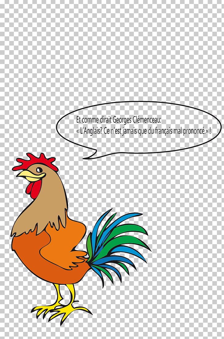 Rooster French Language English Vocabulary PNG, Clipart, Animal Figure, Area, Art, Beak, Bird Free PNG Download