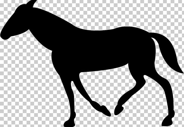 Thoroughbred Pony PNG, Clipart, Animal, Animals, Black, Black And White, Bridle Free PNG Download