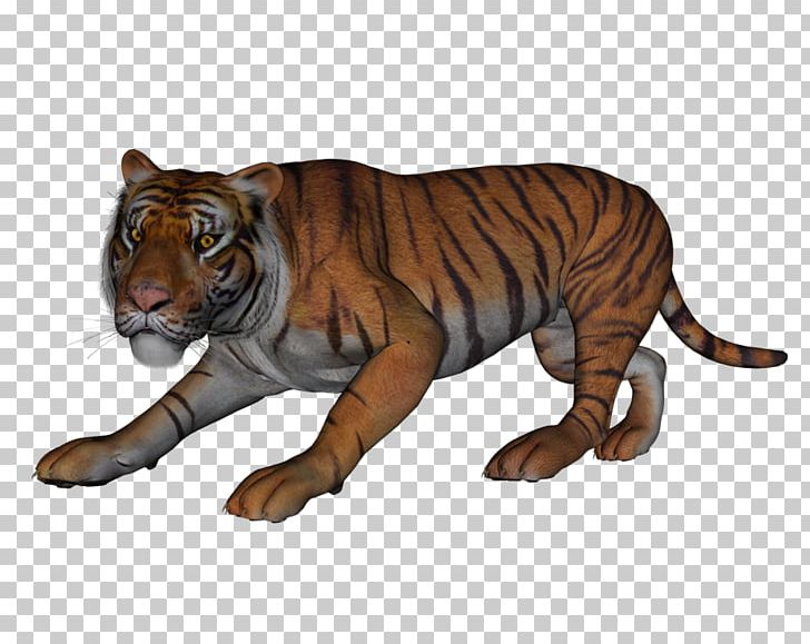 Tiger Lion Fauna Wildlife Terrestrial Animal PNG, Clipart, Animal, Animal Figure, Animals, Big Cats, Carnivoran Free PNG Download