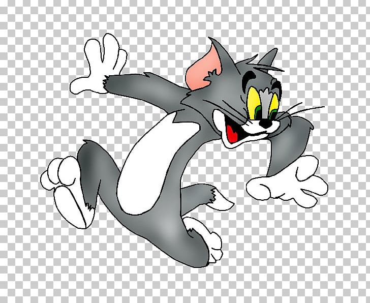 Tom Cat Sylvester Tom And Jerry Cartoon PNG, Clipart, Animation, Art, Blog, Carnivoran, Cat Free PNG Download