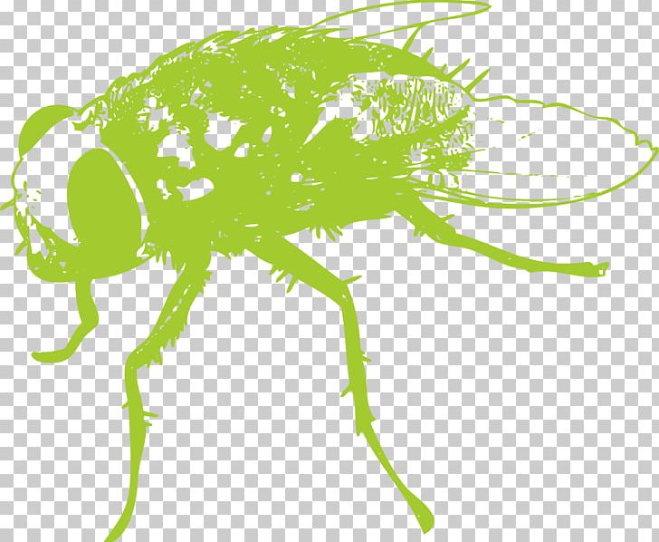 Fly Insect Wing PNG, Clipart, Animals, Encapsulated Postscript, Fictional Character, Grass, Insects Free PNG Download