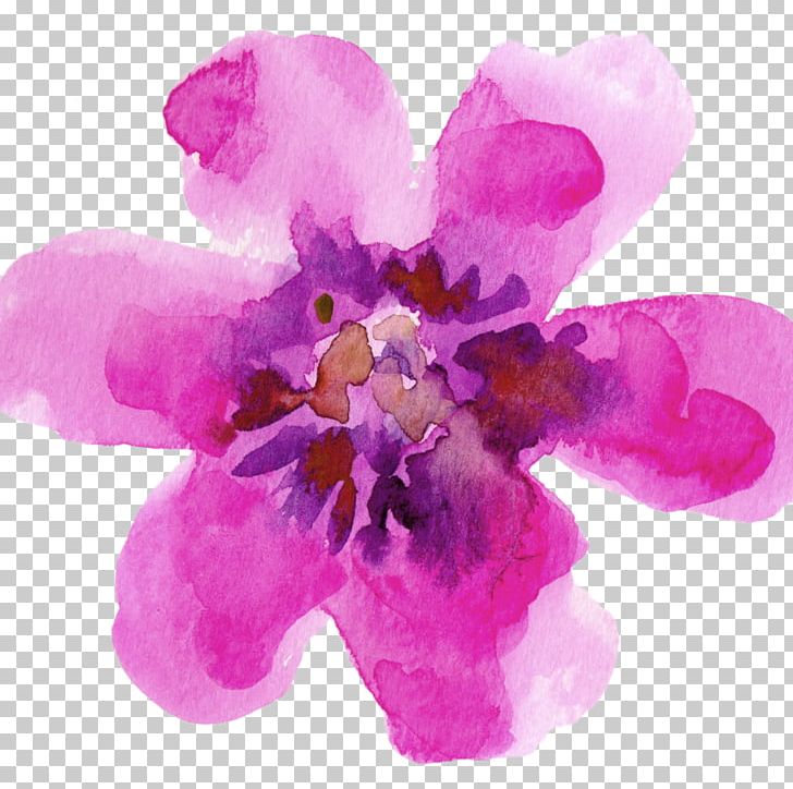 Watercolour Flowers Watercolor Painting Drawing Paper PNG, Clipart, Art, Drawing, Flower, Flowering Plant, Flowers Free PNG Download