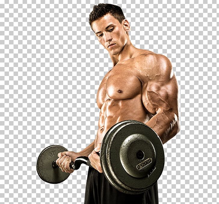 Dietary Supplement Muscle Bodybuilding Supplement Mass PNG, Clipart, Abdomen, Arm, Barbell, Bice, Biceps Free PNG Download