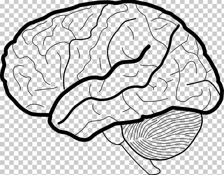 Human Brain White Matter Working Memory PNG, Clipart, Anatomy, Area, Black And White, Brain, Brain Mapping Free PNG Download