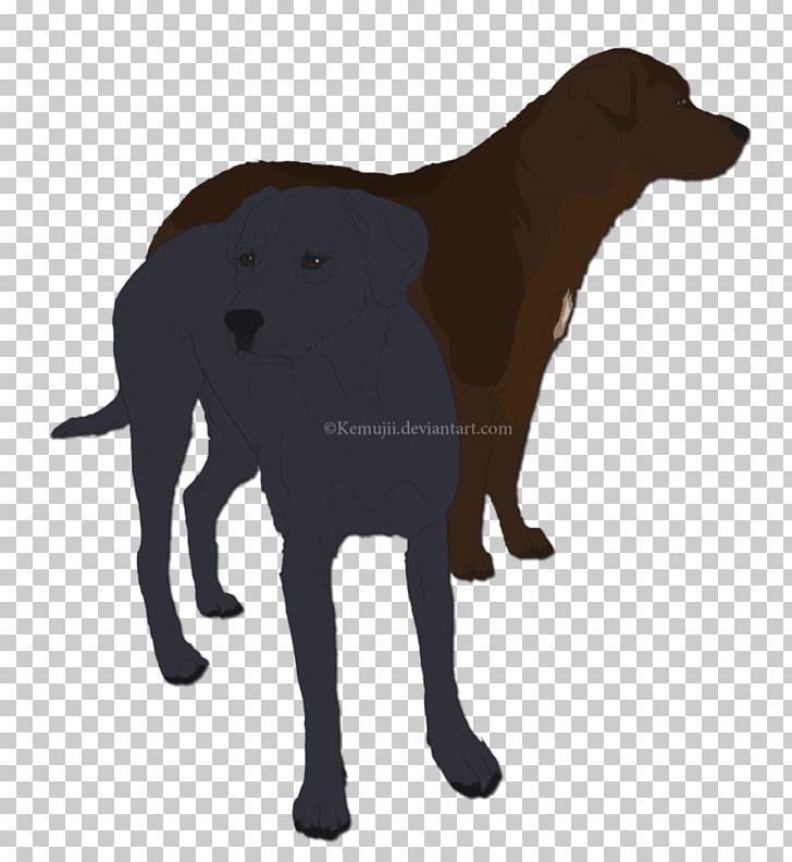 Labrador Retriever Flat-Coated Retriever Dog Breed Snout PNG, Clipart, Breed, Carnivoran, Dog, Dog Breed, Dog Like Mammal Free PNG Download