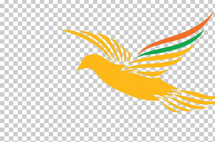 President Of India Lok Sabha Indian Navy President Of The United States PNG, Clipart, Asit Kumarr Modi, Beak, Bird, Constitution Of India, Feather Free PNG Download