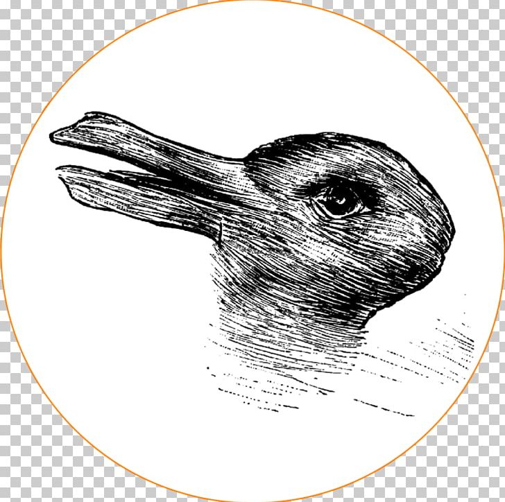 Rabbit–duck Illusion Yanny Or Laurel PNG, Clipart, Animals, Beak, Bird, Black And White, Chinese Duck Free PNG Download