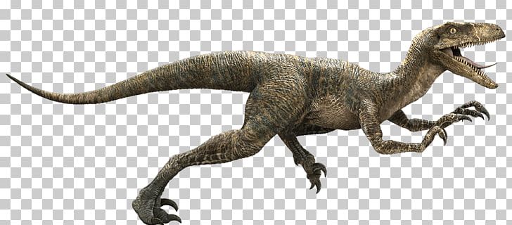 Velociraptor Owen Jurassic Park Youtube Indominus Rex Png Clipart