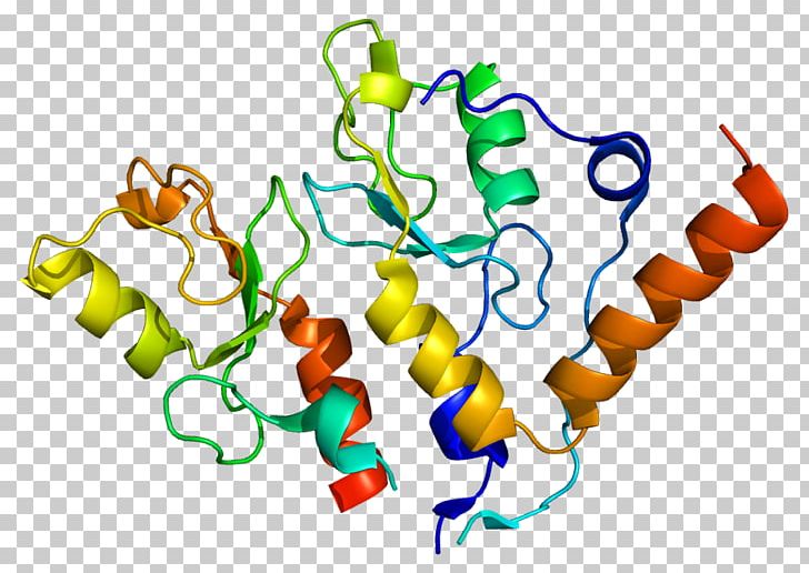 BMI1 Polycomb-group Proteins RING Finger Domain Stem Cell PNG, Clipart, Area, Artwork, Bmi, Bmi1, Cell Free PNG Download