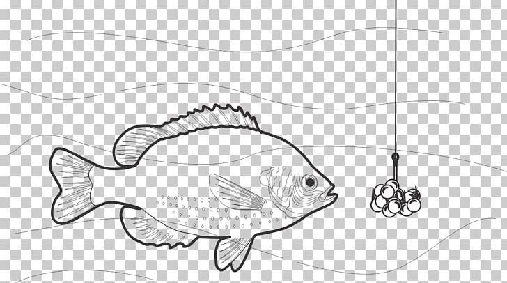 Fishing Bait Fish Hook Black And White PNG, Clipart, Beak, Black And White, Cartoon, Drawing, Fauna Free PNG Download