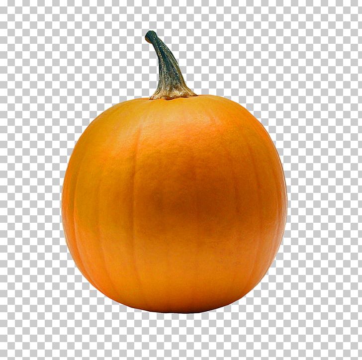 Pumpkin Gourd Winter Squash PNG, Clipart,  Free PNG Download