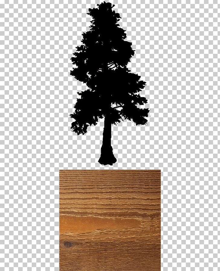 Western Redcedar Black Eastern Red Cedar Color PNG, Clipart, Albeca, Arborvitae, Black, Black And White, Brown Free PNG Download