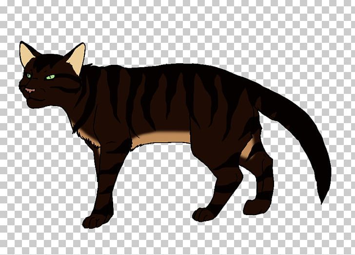 Whiskers Kitten Domestic Short-haired Cat Wildcat PNG, Clipart, Canidae, Carnivoran, Cat, Cat Claw, Cat Like Mammal Free PNG Download