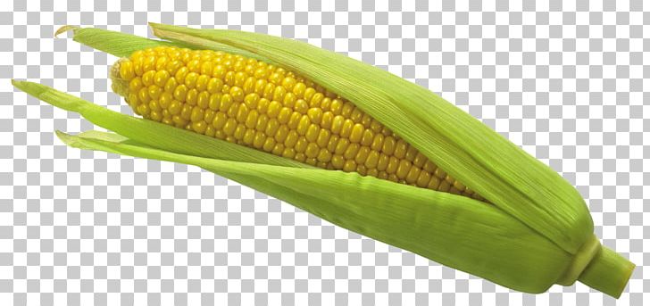 Corn On The Cob Flint Corn Sweet Corn PNG, Clipart, Cereal, Clip Art, Clipping Path, Commodity, Corn Free PNG Download