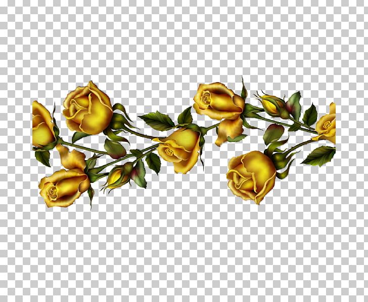Garden Roses Flower Beach Rose Gold PNG, Clipart, Beach Rose, Branch, Bud, Cut Flowers, Flower Free PNG Download