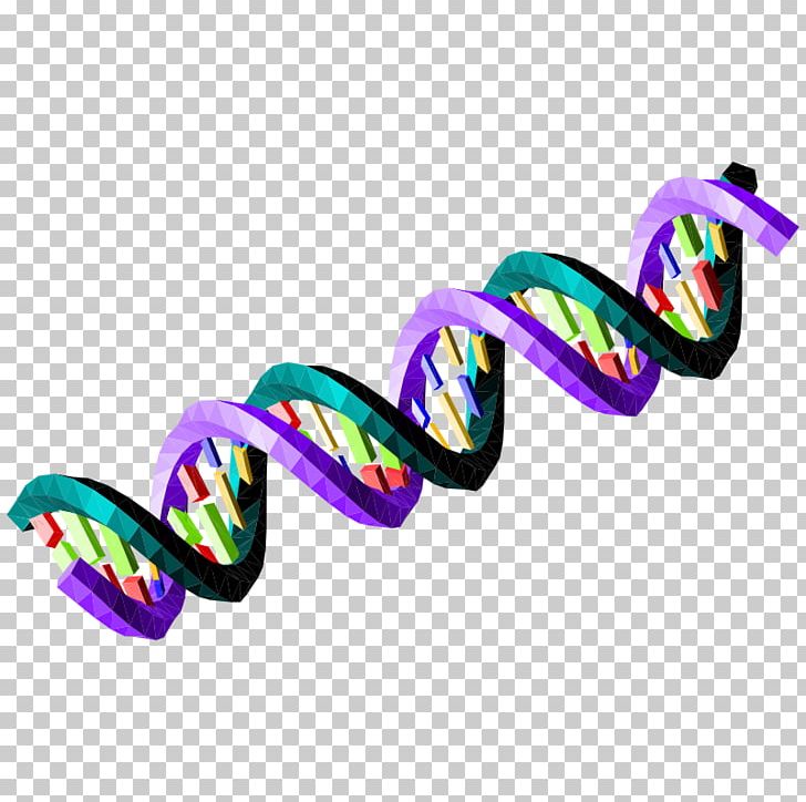 Nucleic Acid Sequence DNA Bioinformatics Green PNG, Clipart, Bioinformatics, Biological Pathway, Blue, Body Jewelry, Color Free PNG Download