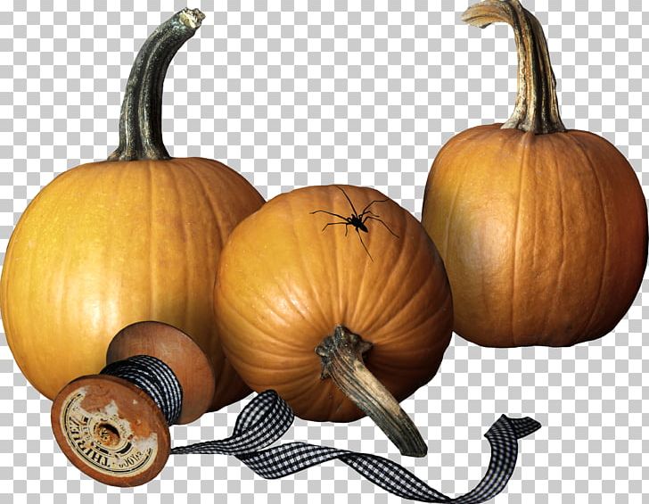 Pumpkin Calabaza Winter Squash Gourd Cucurbita PNG, Clipart, Calabaza, Cucurbita, Gourd, Gourdm, Pumpkin Free PNG Download