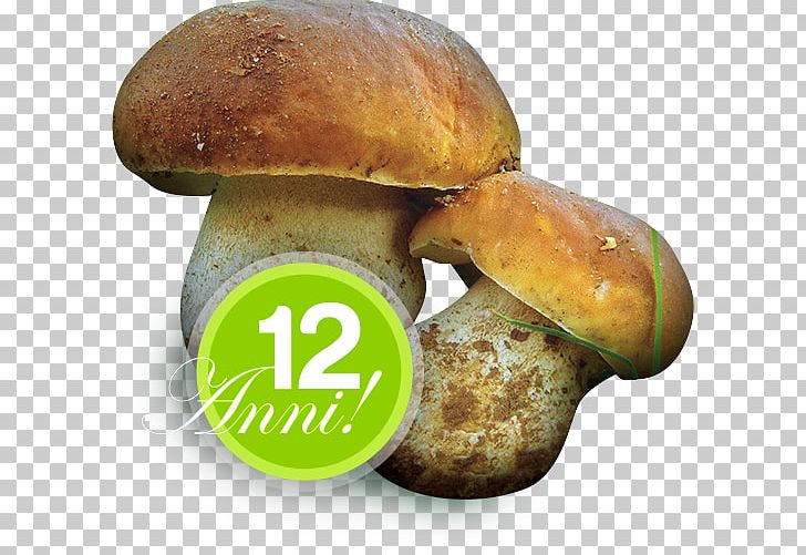 Sagra Edible Mushroom Fungus Festival Cusano Mutri PNG, Clipart, Bolete, Boletus Edulis, Edible Mushroom, Festival, Food Free PNG Download