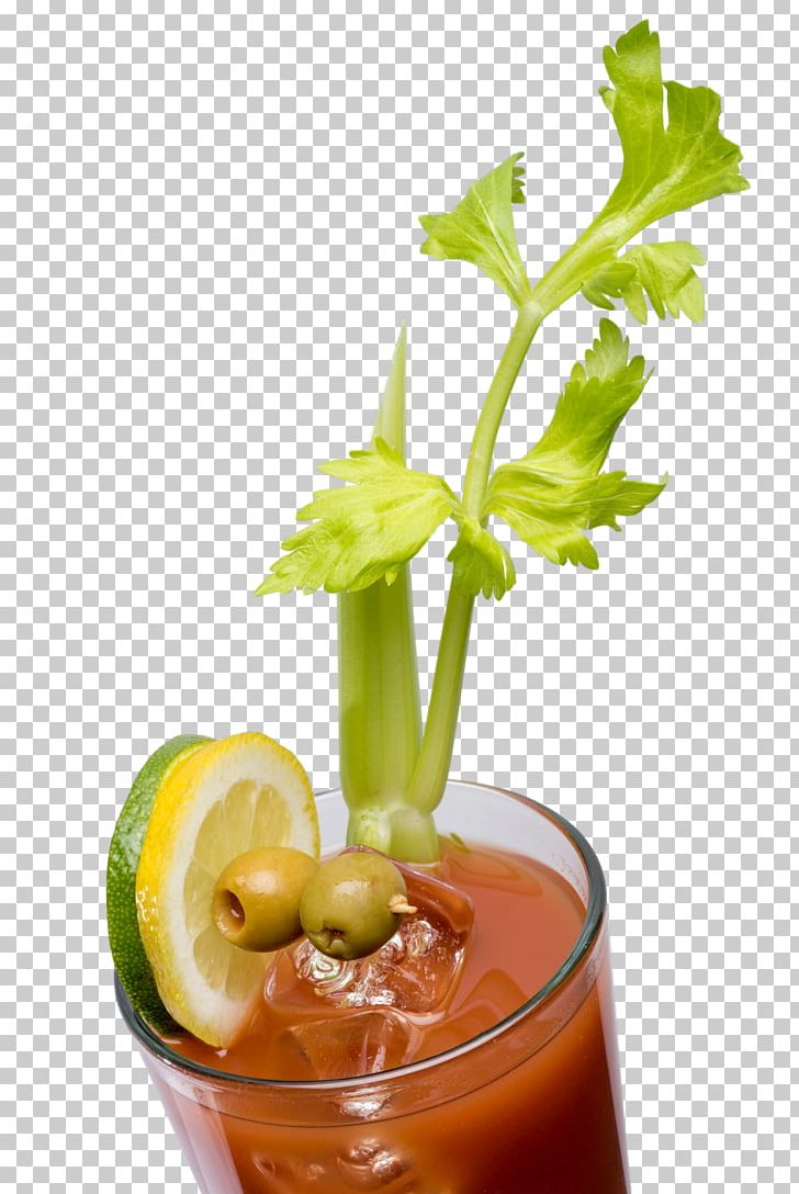 Bloody Mary Cocktail Garnish Mai Tai Rum And Coke PNG, Clipart, Alcoholic Drink, Bloody Mary, Celery, Cocktail, Cocktail Garnish Free PNG Download