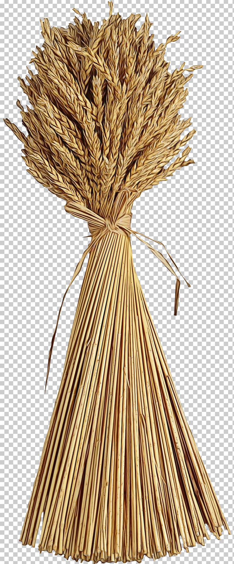 Wheat PNG, Clipart, Food Grain, Gluten, Grass Family, Household Supply, Paint Free PNG Download