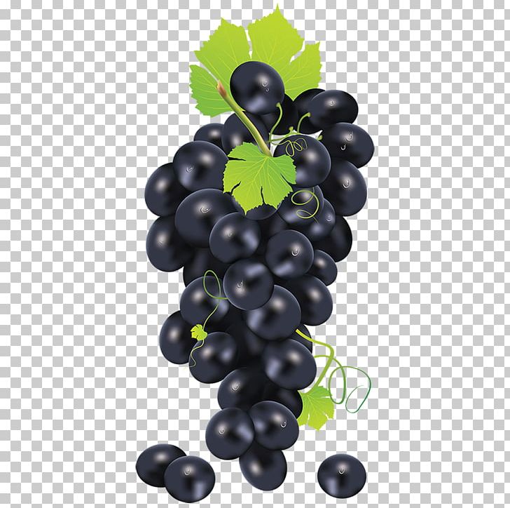 Common Grape Vine PNG, Clipart, Berry, Common Grape Vine, Computer Icons, Flowering Plant, Food Free PNG Download