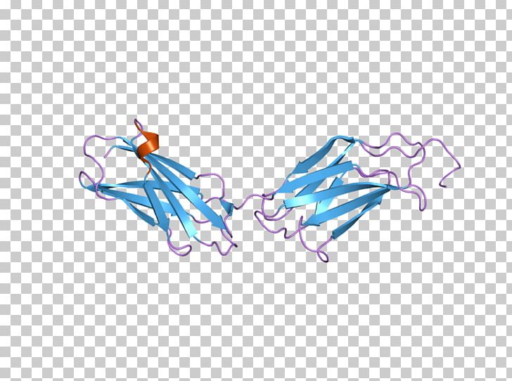 Fibronectin Integrin Glycoprotein Extracellular Matrix PNG, Clipart, Angle, Art, Binding Domain, Blue, Cell Membrane Free PNG Download