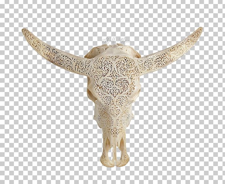 Animal Skulls Cattle XL Horns PNG, Clipart, American Bison, Animal, Animal Skulls, Balinese People, Buffalo Free PNG Download
