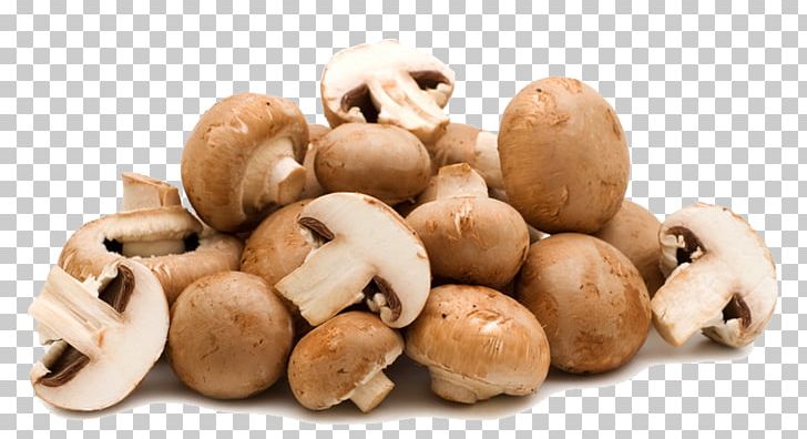 Common Mushroom Shiitake Food Fungus PNG, Clipart, Agaricaceae, Brown, Champignon Mushroom, Edible Mushroom, Enokitake Free PNG Download