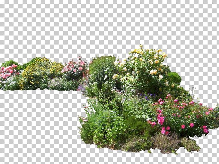 Flower Garden PNG, Clipart, Allium Giganteum, Alumroot, Art, Centaurea Montana, Cornflower Free PNG Download