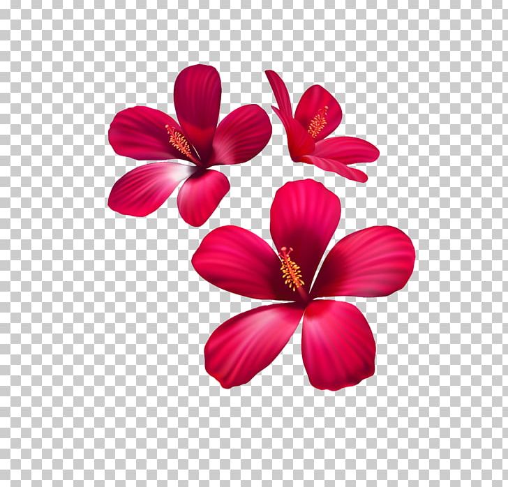 Rozetka Art-Shpalery Flower Fototapet 3D Computer Graphics PNG, Clipart, 3d Computer Graphics, Artshpalery, Blossom, Color, Decorative Elements Free PNG Download