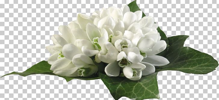 Snowdrop Flower Bouquet Nelumbo Nucifera Bract PNG, Clipart, Bract, Crocus, Cut Flowers, Floral Design, Floristry Free PNG Download